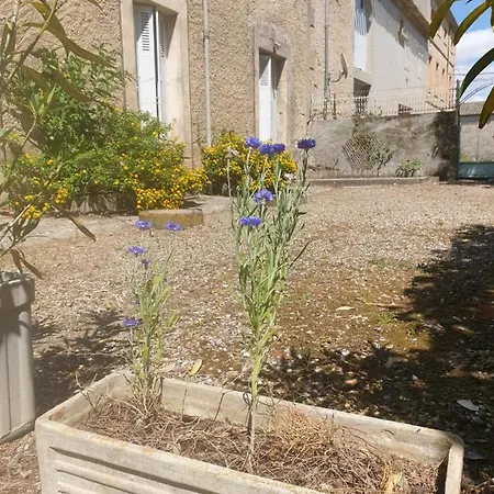 Hotel Domaine D'herminis - D'hotes Carcassonne