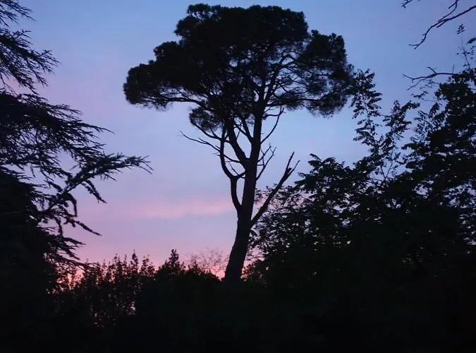 Hotel Domaine D'herminis - D'hotes