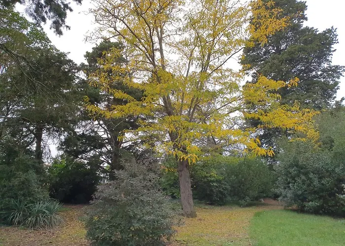 Domaine D'herminis - D'hotes *