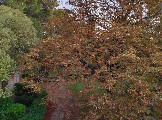 Hotel Domaine D'herminis - D'hotes Carcassonne
