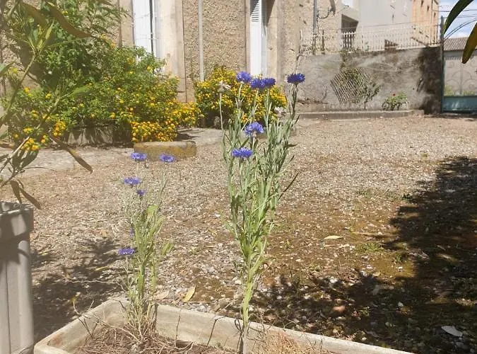 Hotel Domaine D'herminis - D'hotes Carcassonne